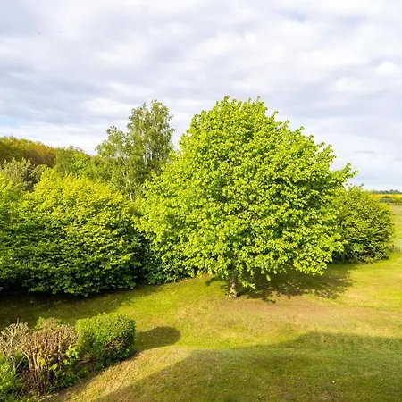 Apartment Rugana - Komfortplus Mit 1 Schlafzimmer A22 *